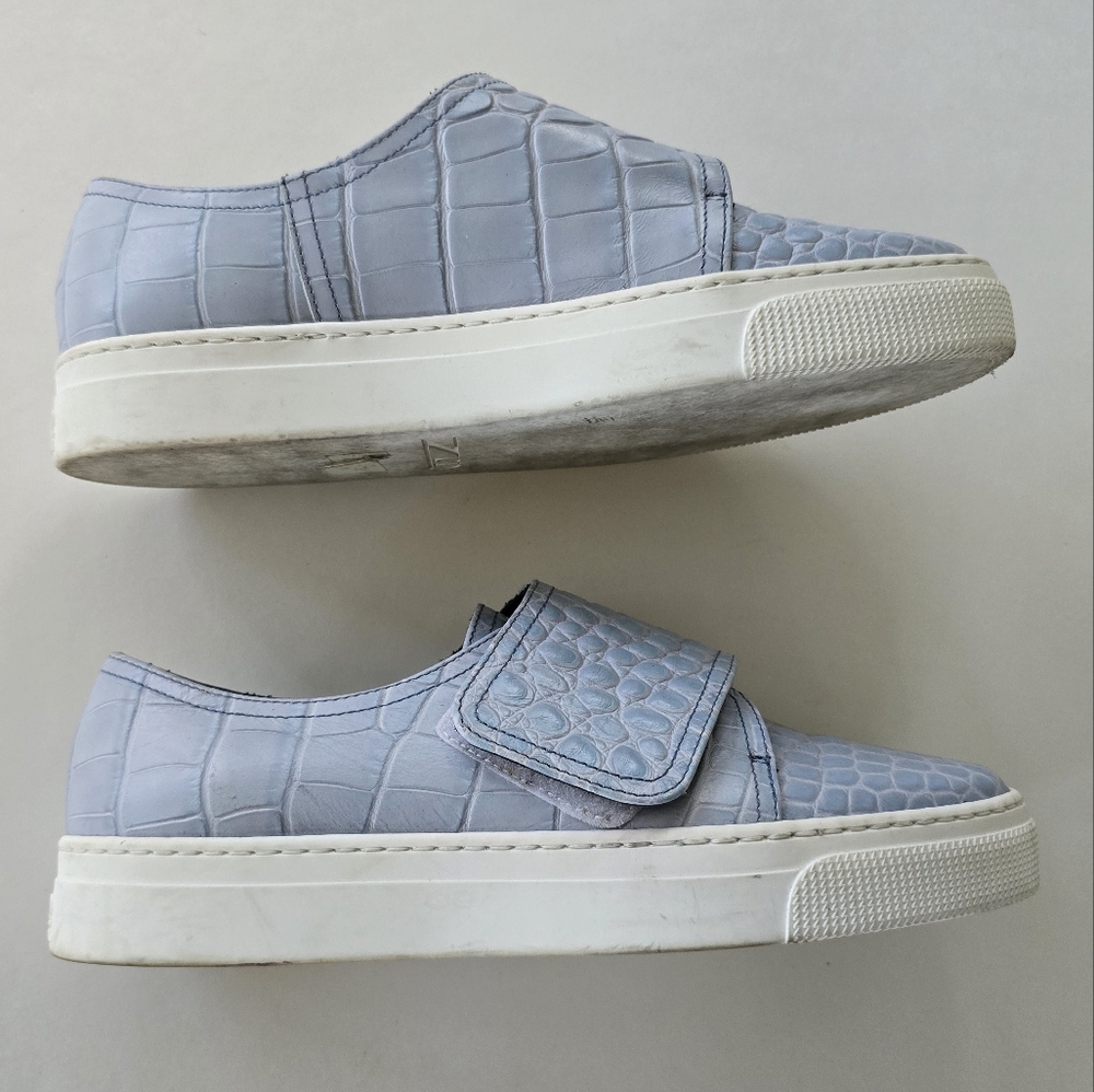 👟 ZCD Montreal Baby Blue Crocodile Trainers